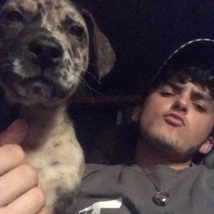 Meet your Posher, Max